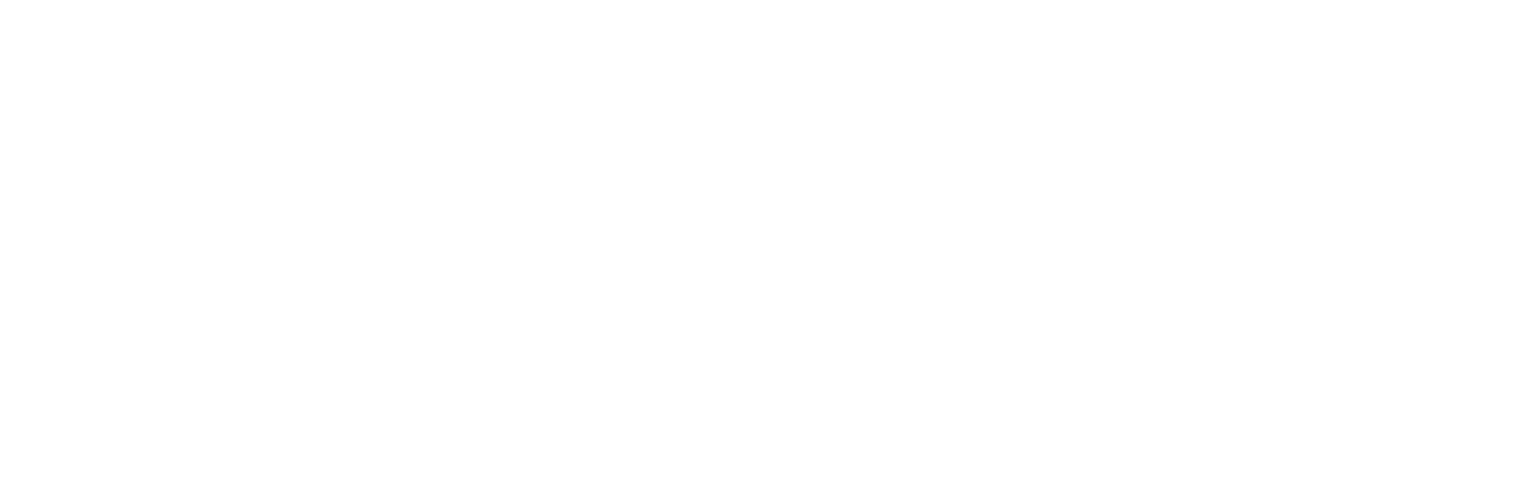 logo-high-def-white
